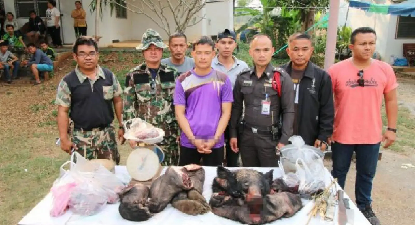 Police charge Saraburi man following tip about bear carcass Police charge Saraburi man following tip about bear carcass