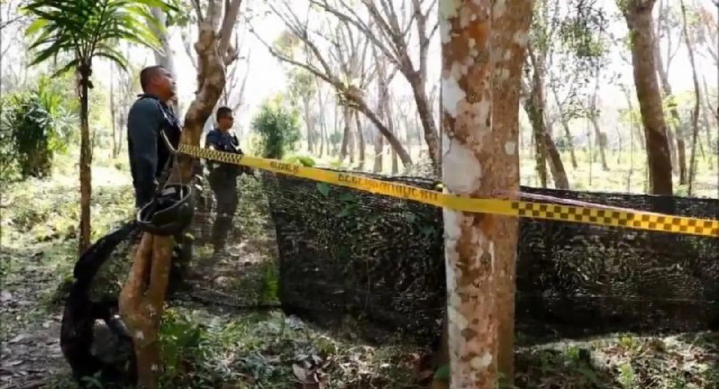 Police suspect personal grudge behind killing of elderly tapper in South Police suspect personal grudge behind killing of elderly tapper in South