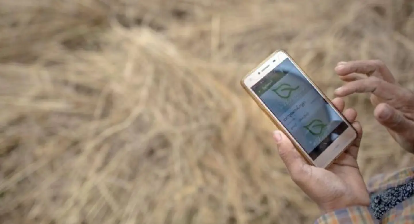 Myanmar farmers going against the grain with apps