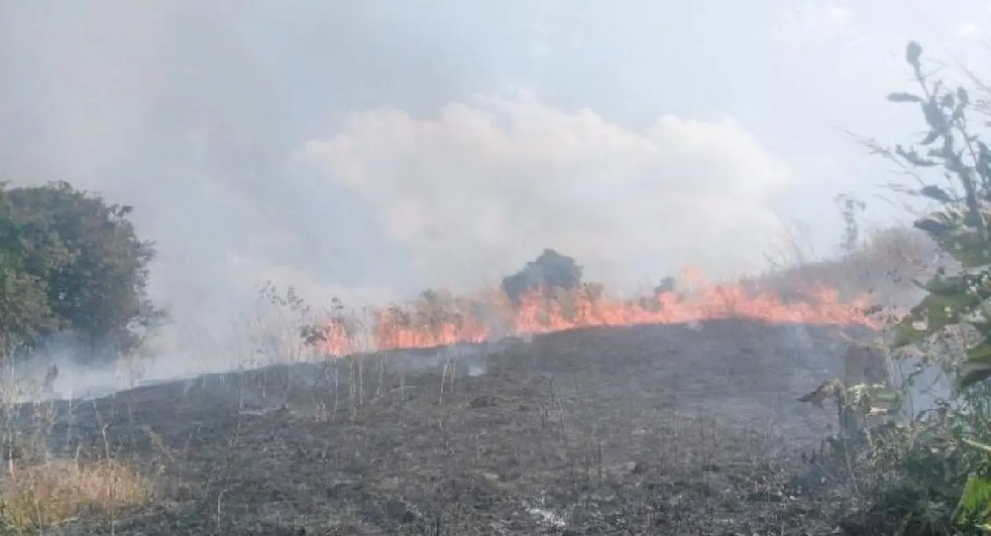 Tak choking on smog from fires Tak choking on smog from fires