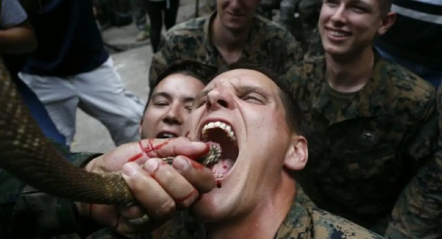 Marines drink cobra blood in US-Thai war drills Marines drink cobra blood in US-Thai war drills