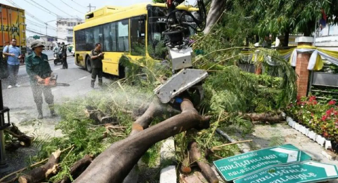 11 passengers injured as bus crashes into tree 11 passengers injured as bus crashes into tree