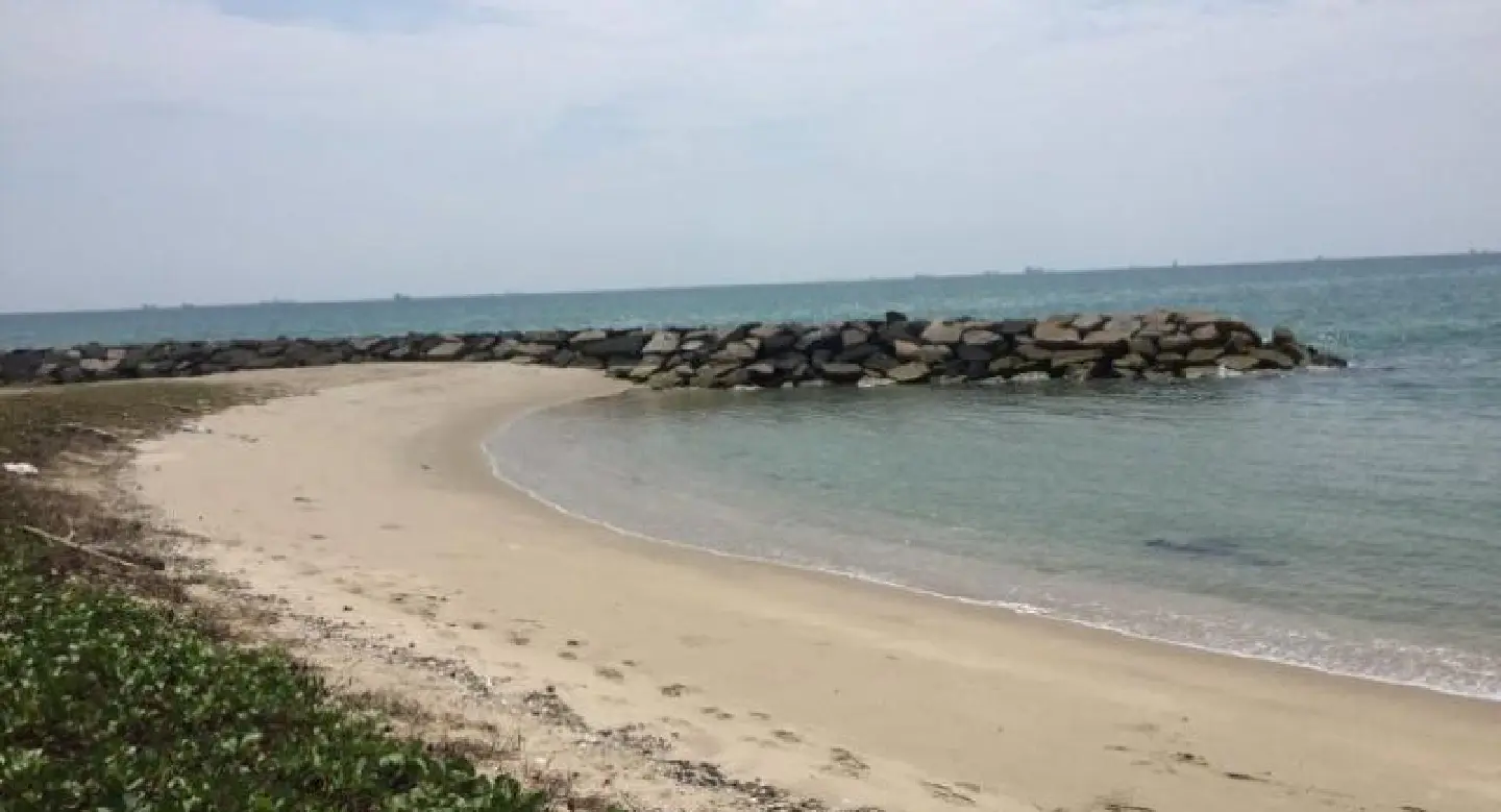 Experts contradict govt on coastal erosion