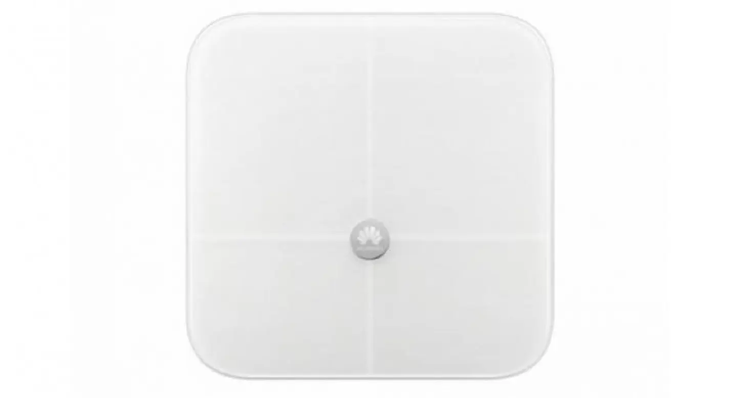 A scale for everything A scale for everything