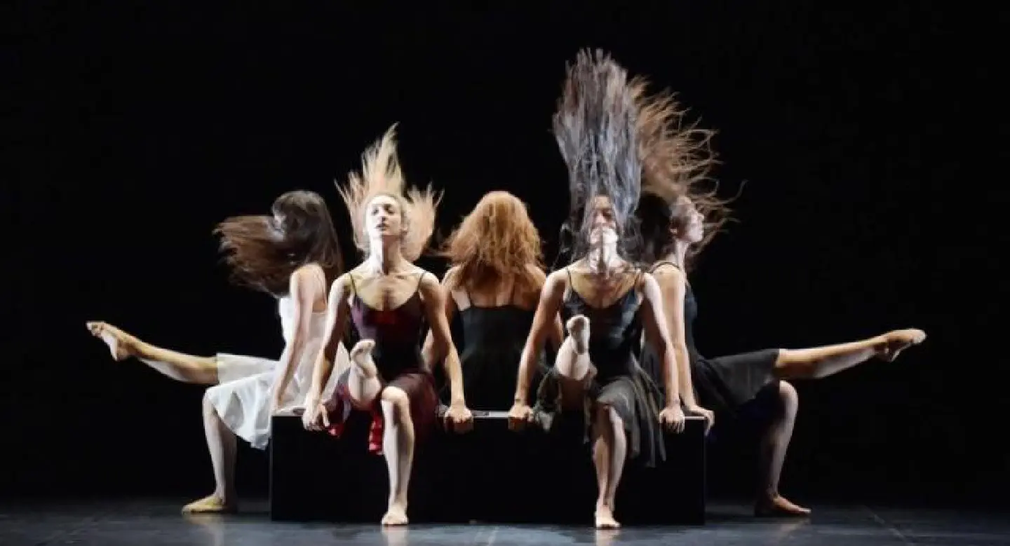 One roof, two contemporary performance experiences One roof, two contemporary performance experiences
