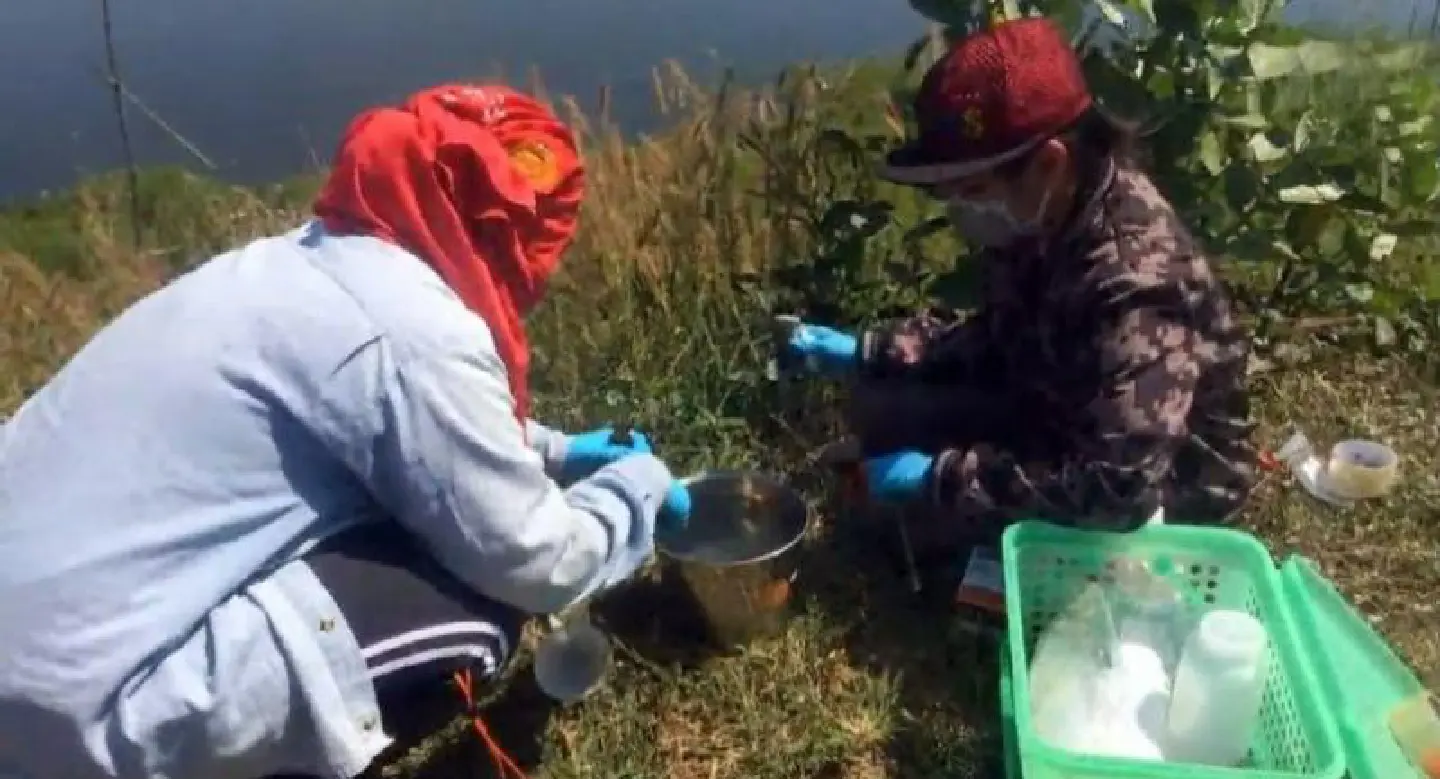Researcher sounds alarm over herbicide in disease-ravaged Nong Bua Lamphu