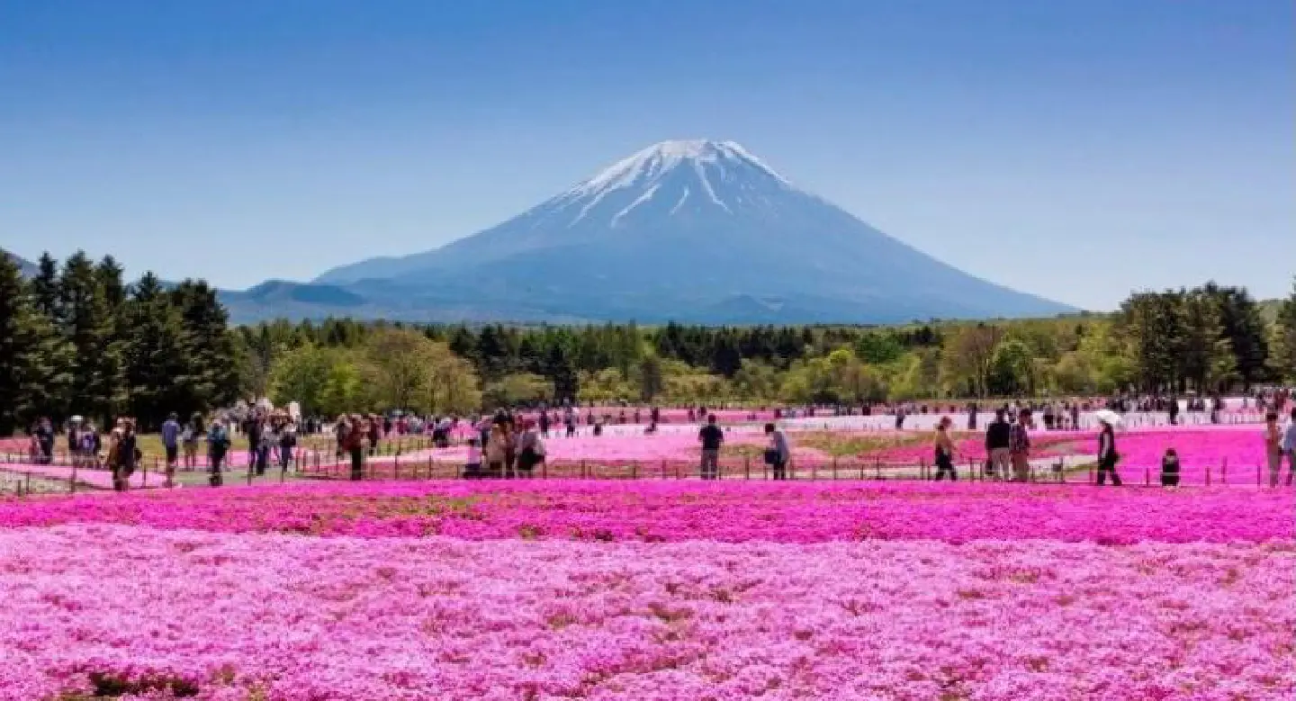 Spring retreat to Mount Fuji Spring retreat to Mount Fuji