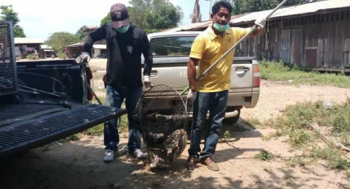 Pran Buri district, one tambon of Hua Hin declared rabies zones