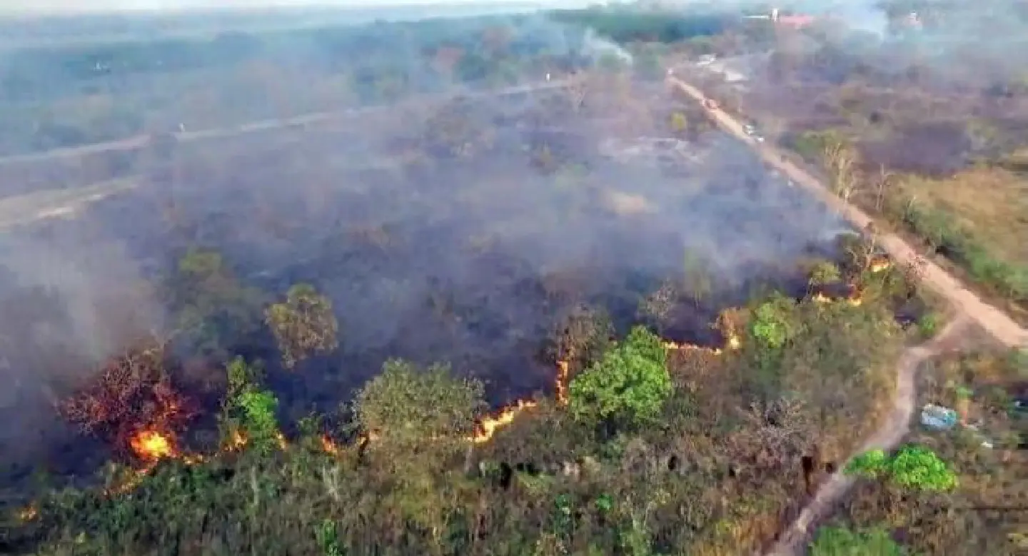 Forest fire hits Bueng Kan Forest fire hits Bueng Kan