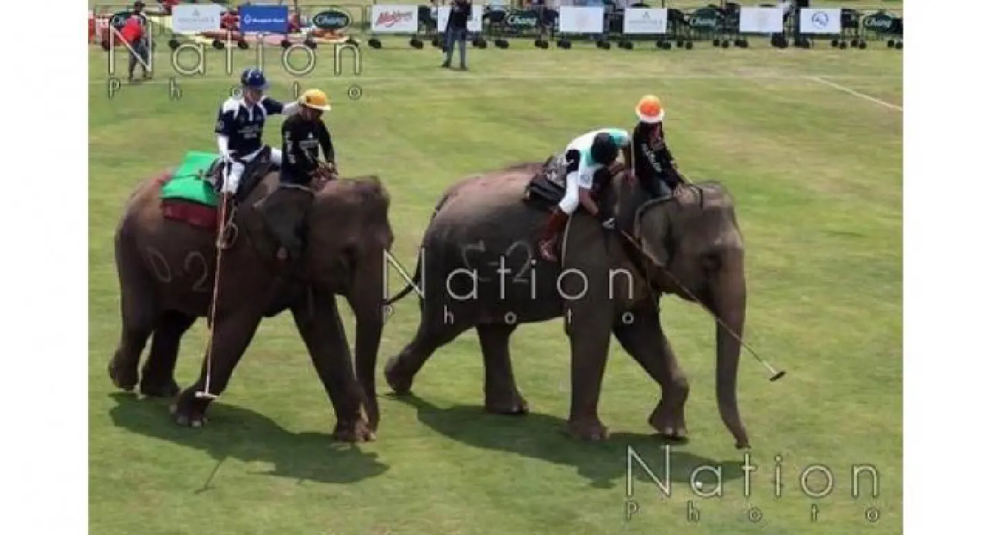 King’s Cup Elephant Polo  kick off in style