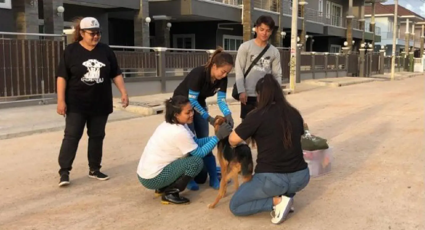 Rabies warning nationwide as infection rates ‘much worse’ than before Rabies warning nationwide as infection rates ‘much worse’ than before