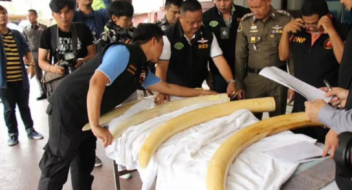 More charges in store as Premchai flies to Bangladesh