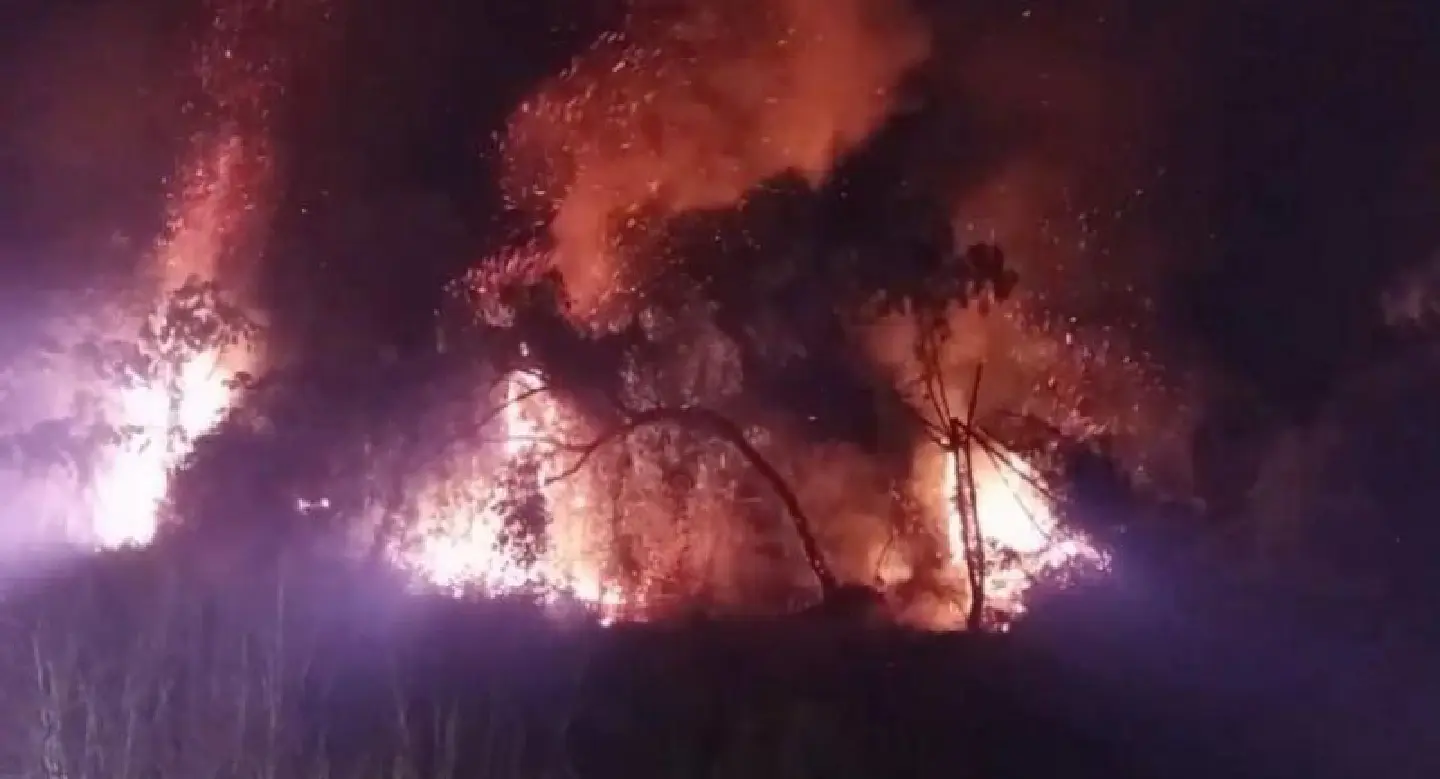 Fire damages 30 rai of forest in Phang Nga Fire damages 30 rai of forest in Phang Nga