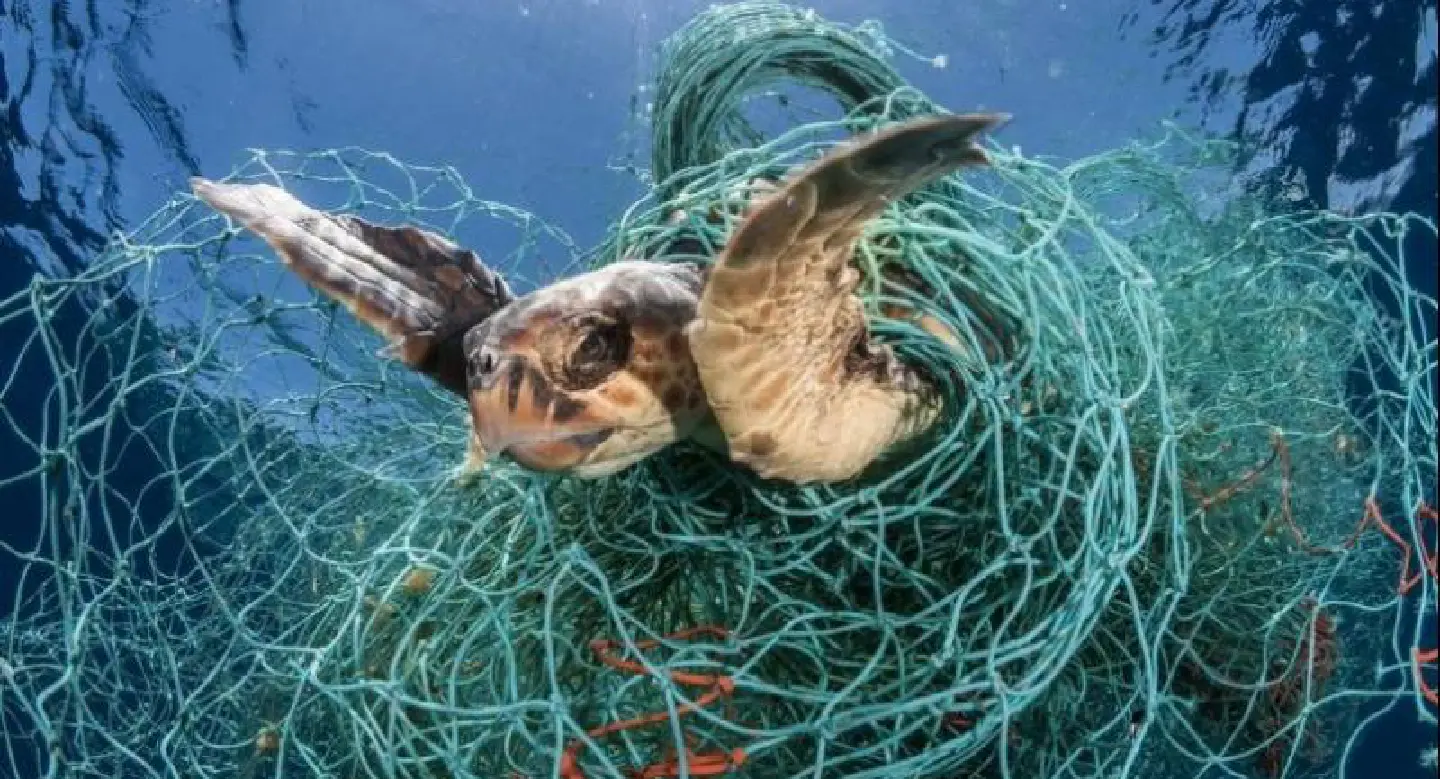 Thai Union joins initiative to help combat marine plastics Thai Union joins initiative to help combat marine plastics