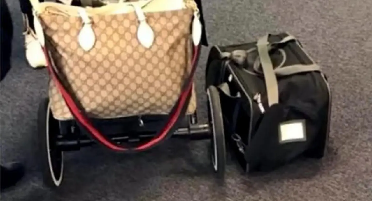 Dog dies in United overhead bin Dog dies in United overhead bin