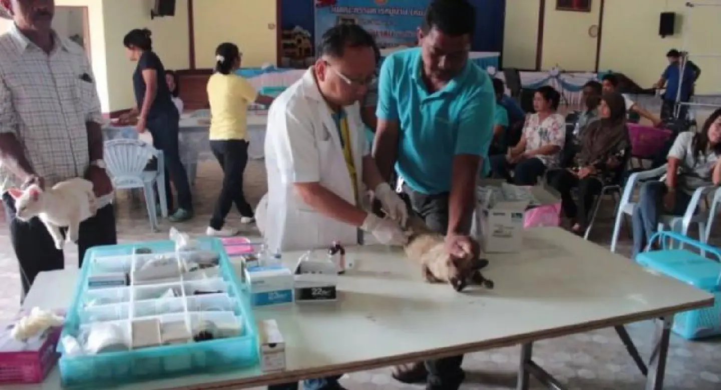 Mahasarakham fields 30 teams to administer rabies vaccinations Mahasarakham fields 30 teams to administer rabies vaccinations