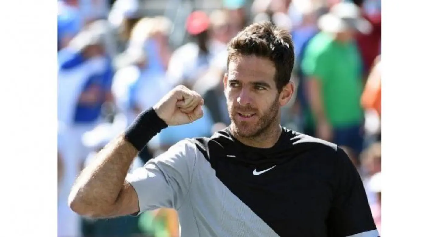 Del Potro topples Raonic to set up showdown with Federer Del Potro topples Raonic to set up showdown with Federer