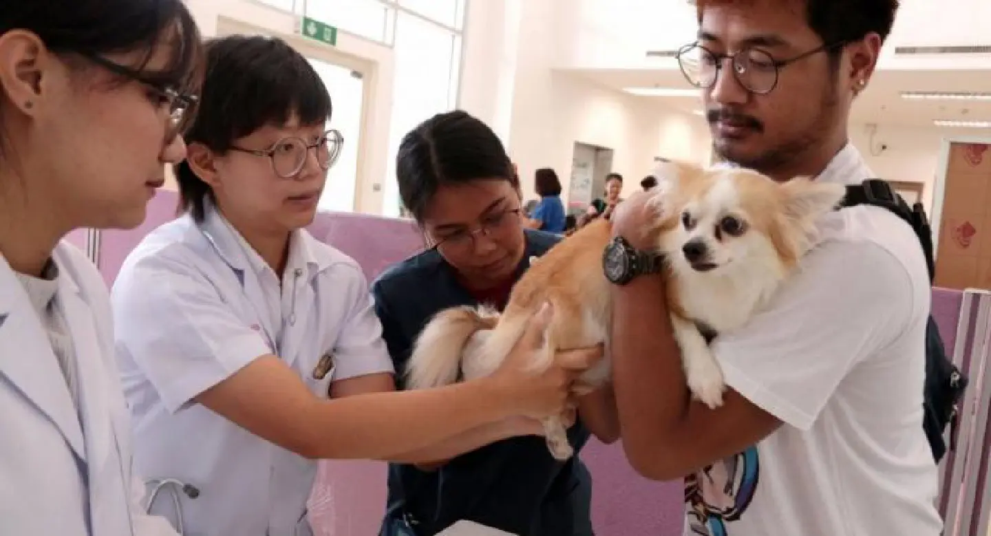 FDA recalls faulty rabies vaccines partly blamed for epidemic