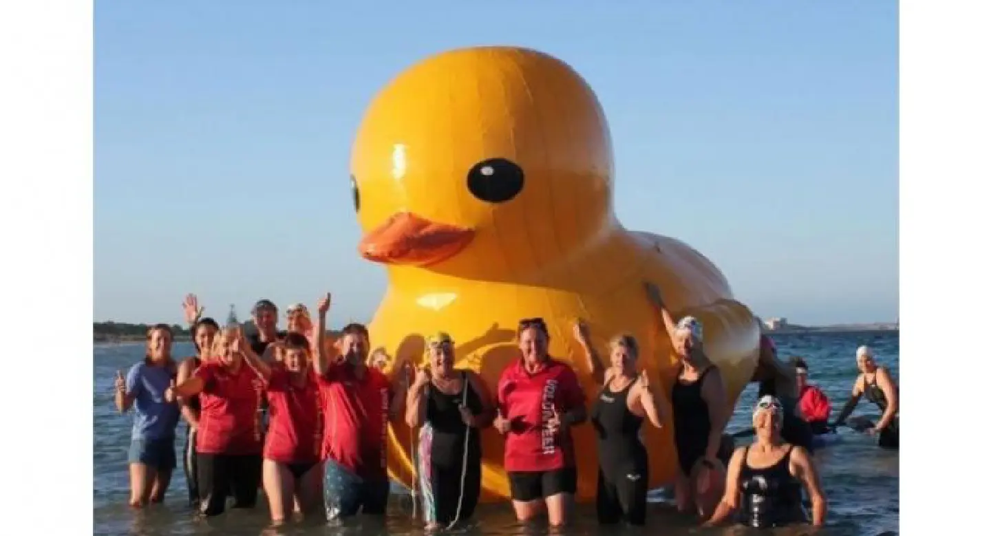 Giant yellow duck goes missing off Australia Giant yellow duck goes missing off Australia