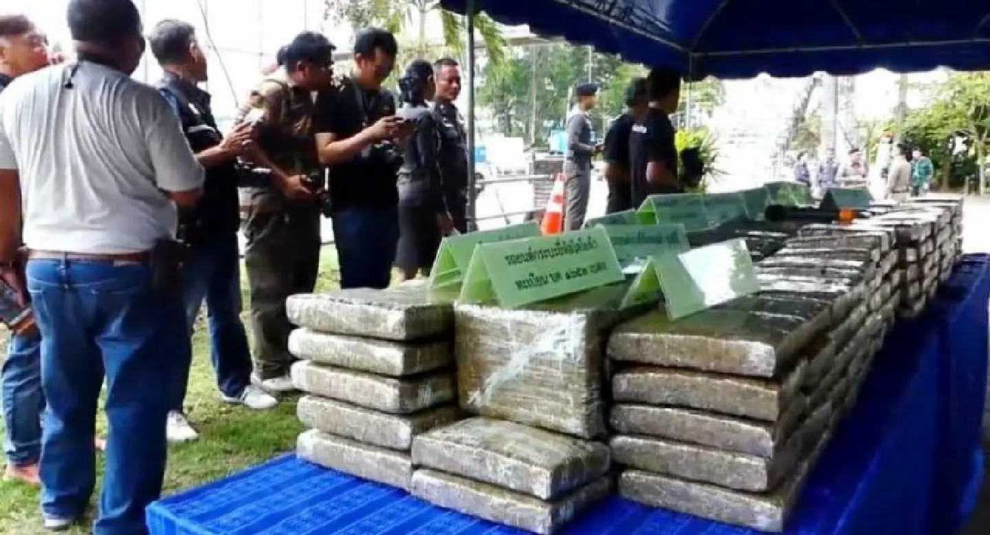 Three arrested over Bt10-m marijuana haul in Chumpon Three arrested over Bt10-m marijuana haul in Chumpon