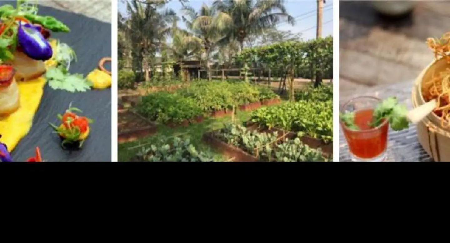 Menus with a “locavore” bias