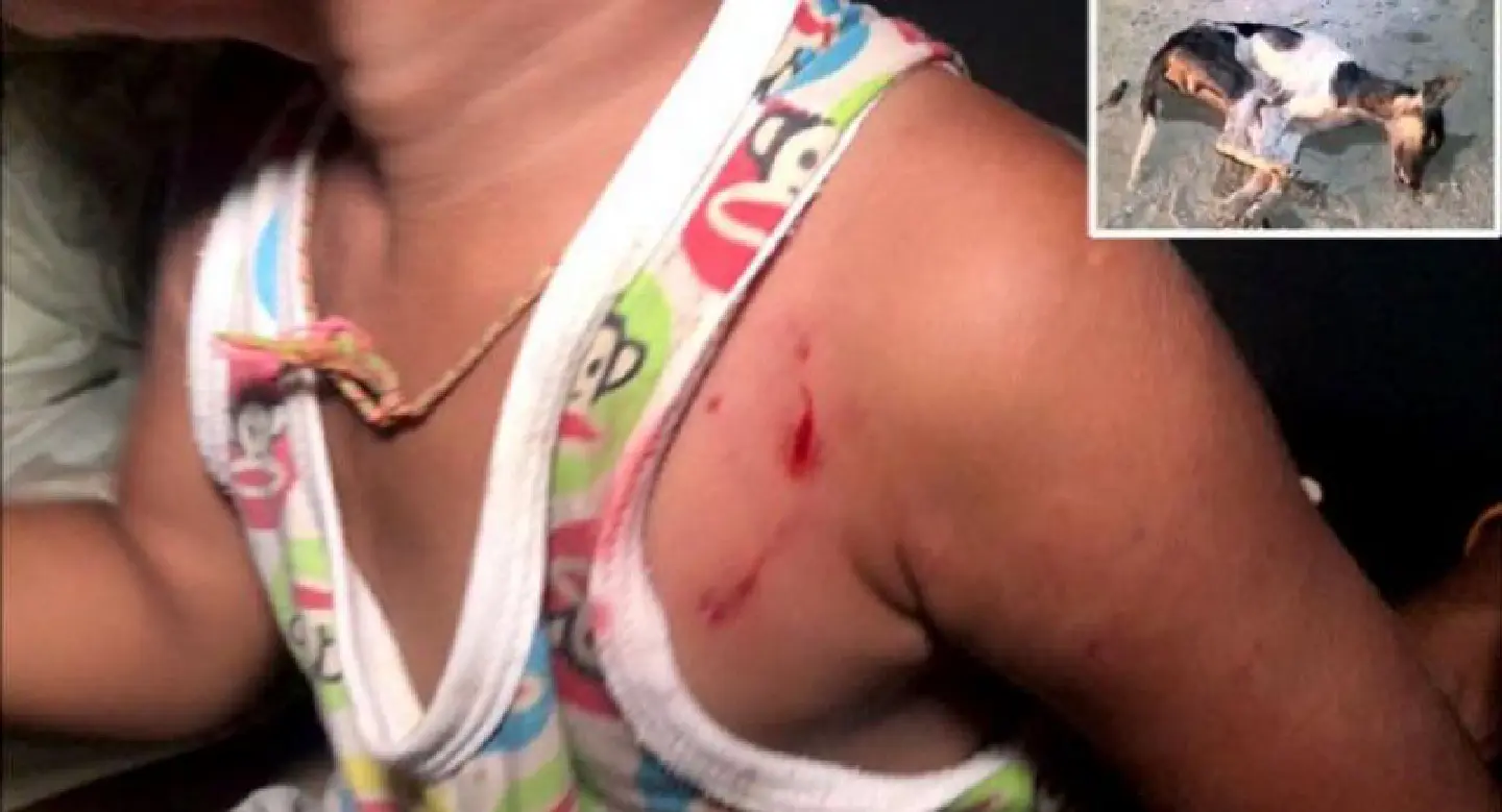 Dog beaten to death after children bitten in Samut Prakan Dog beaten to death after children bitten in Samut Prakan