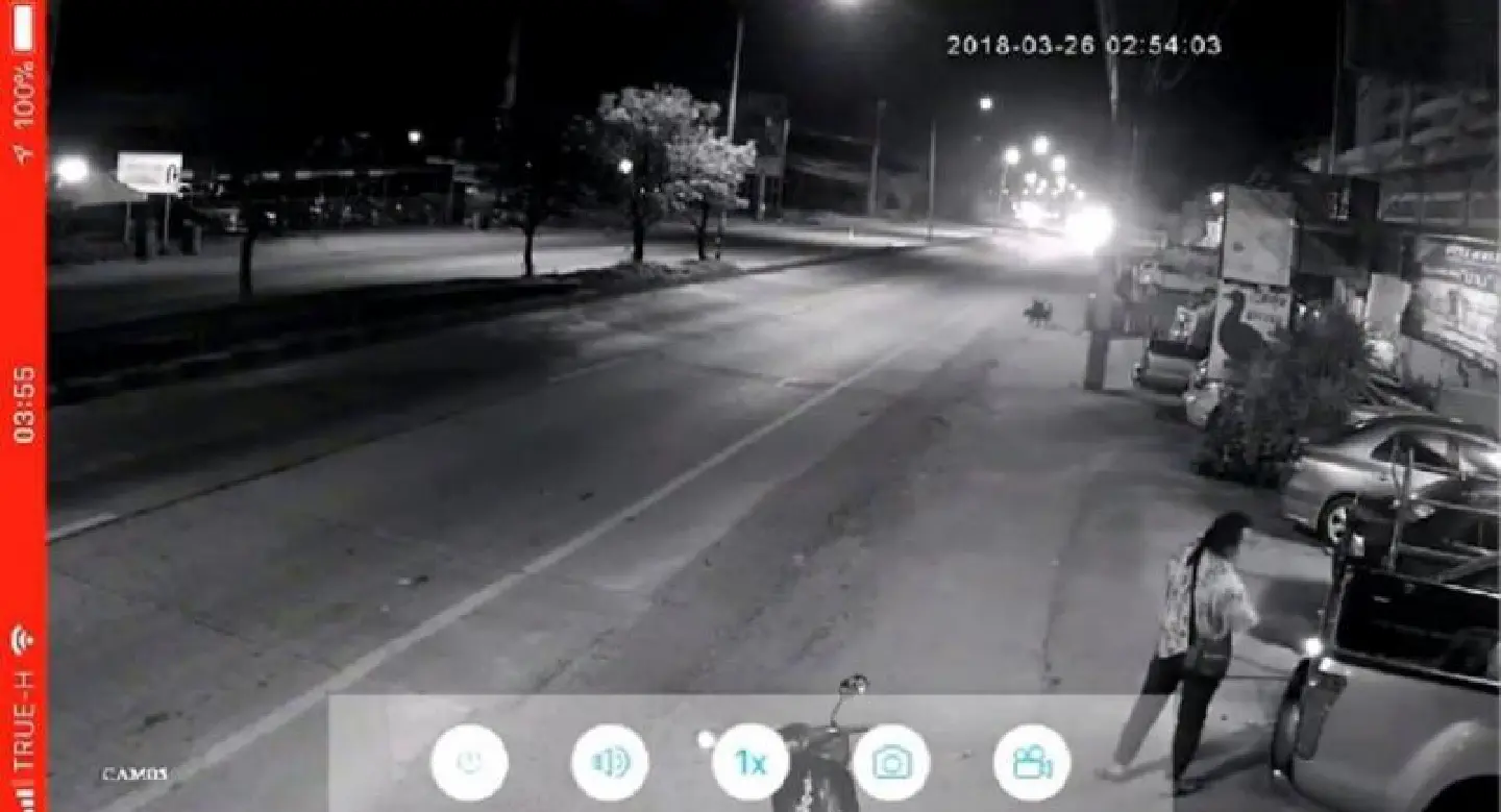 Police hunt motorcyclist after five vehicles set alight Police hunt motorcyclist after five vehicles set alight