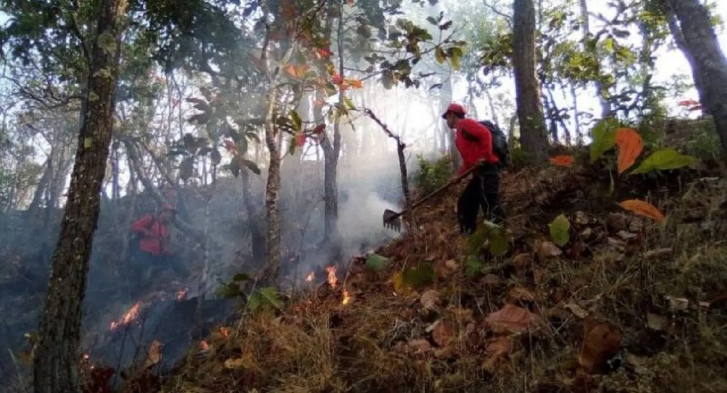 Haze-choked Mae Hong Son, Chiang Mai seal off forests Haze-choked Mae Hong Son, Chiang Mai seal off forests