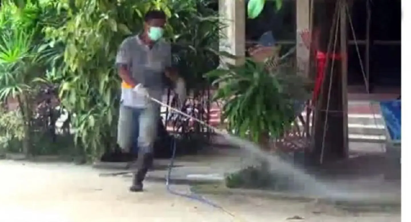 Canine parvovirus arrives on heels of rabies in Nakhon Si Thammarat Canine parvovirus arrives on heels of rabies in Nakhon Si Thammarat