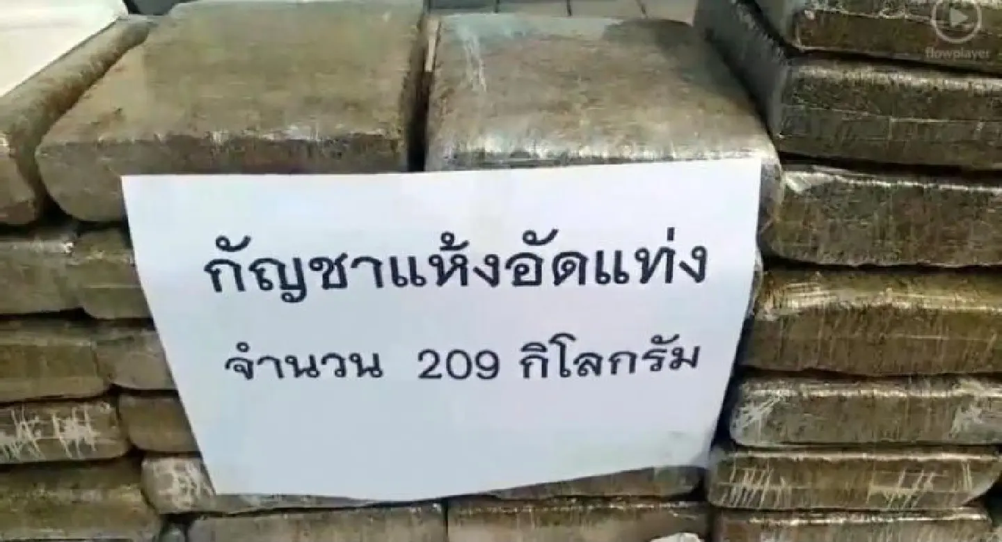 Marijuana dragnet in Nakhon Phanom snares two, lets another escape Marijuana dragnet in Nakhon Phanom snares two, lets another escape