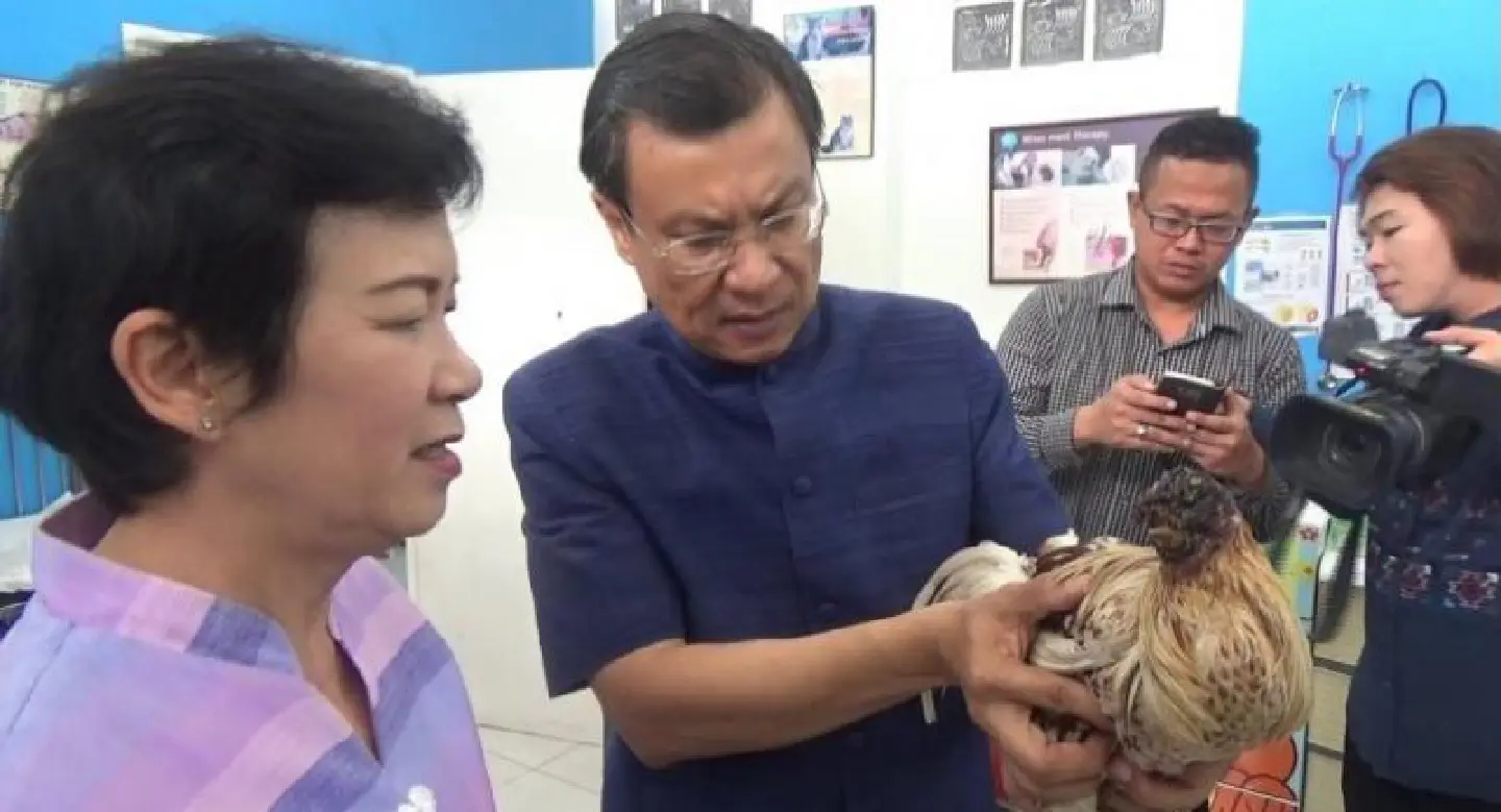Veterinary hospital to care for headless cock