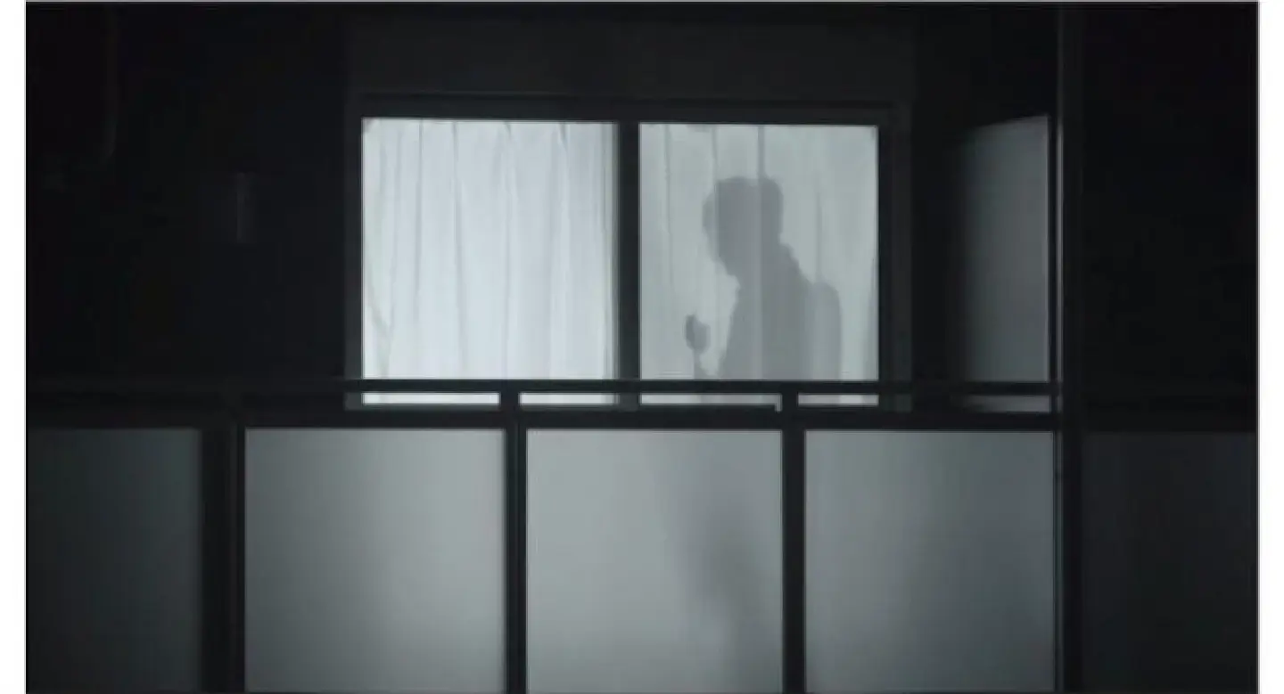 Shadow ‘boyfriends’ guard Tokyo women living alone