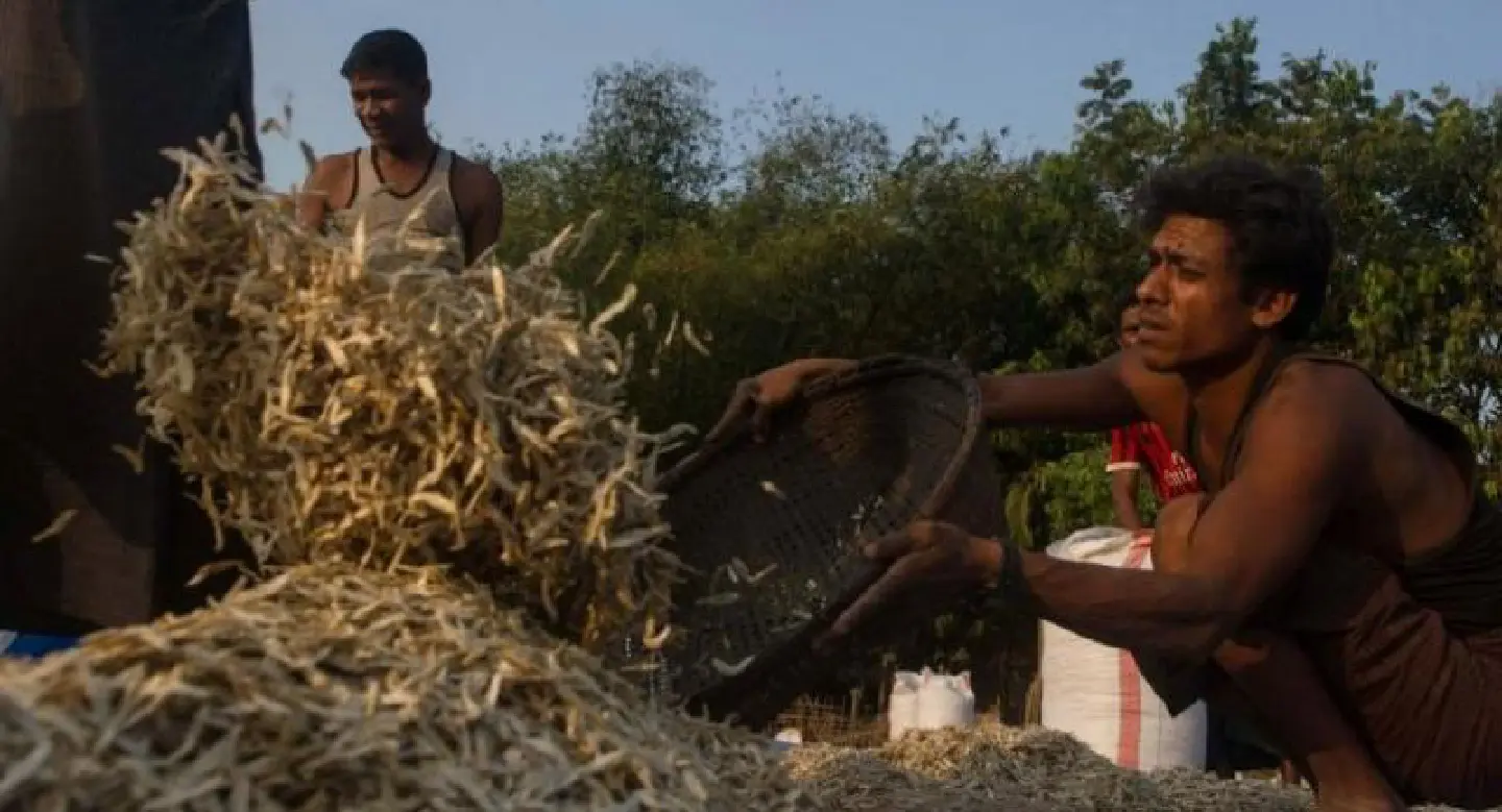 Fear and isolation for Myanmar's remaining Rohingya Fear and isolation for Myanmar's remaining Rohingya