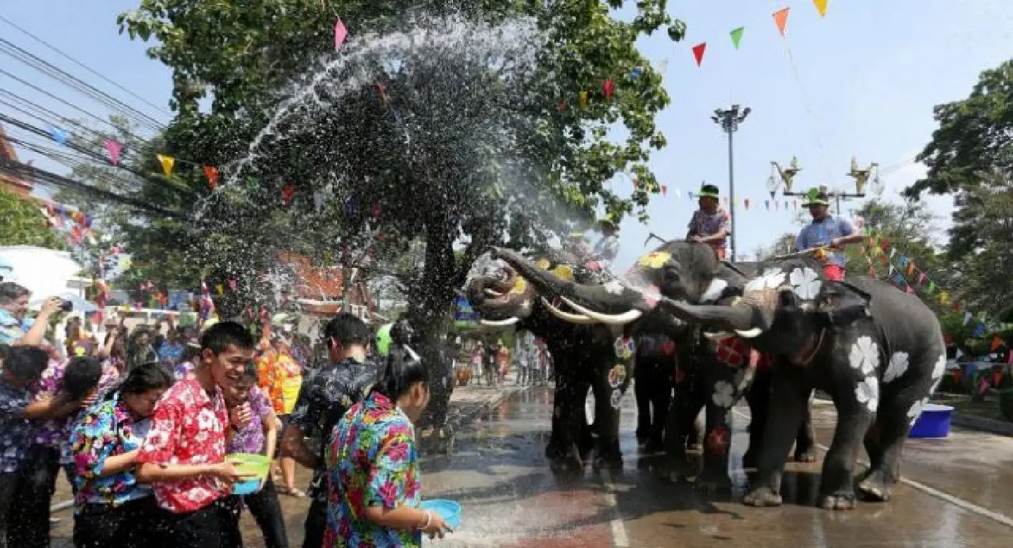 Elephants prepare for Songkran antics