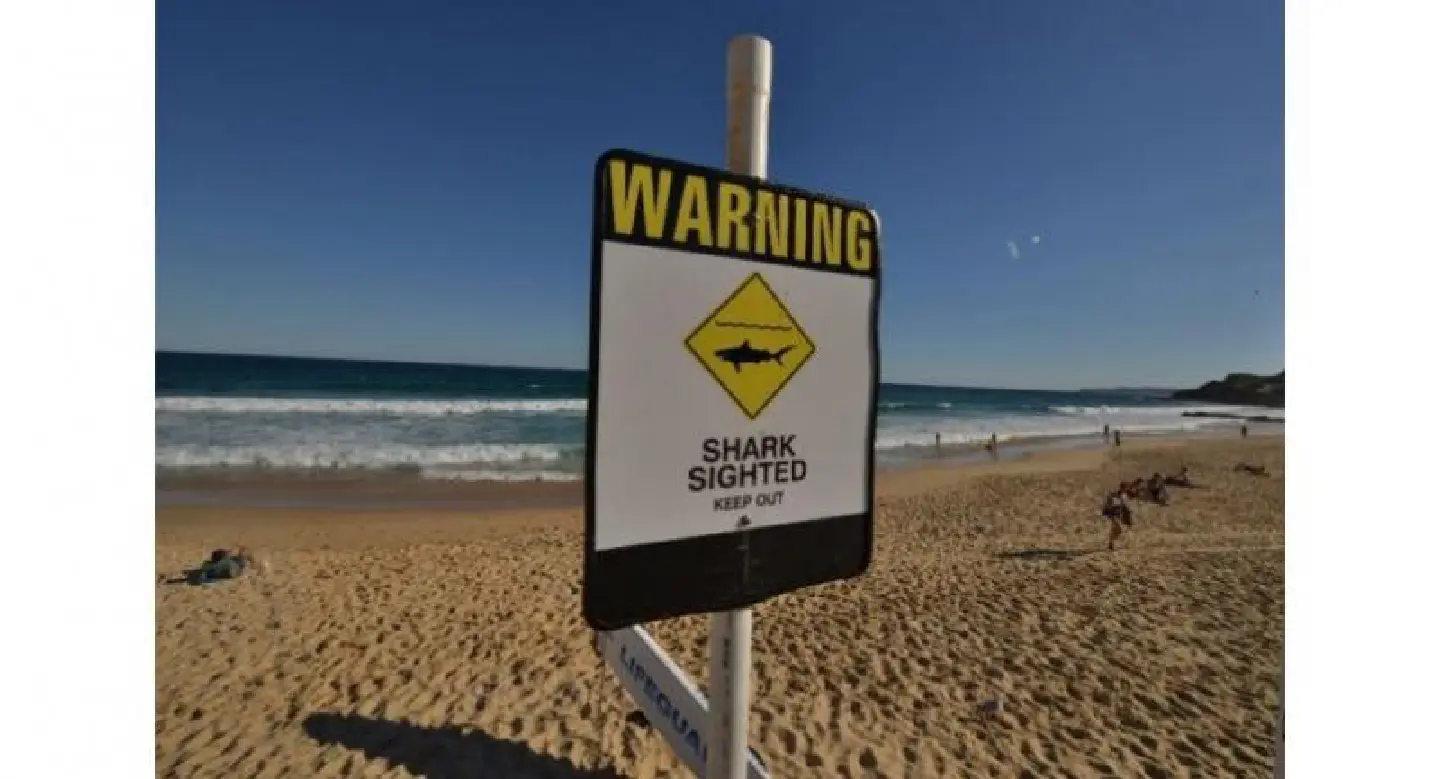 Shark fears cancel elite surf competition in Australia Shark fears cancel elite surf competition in Australia