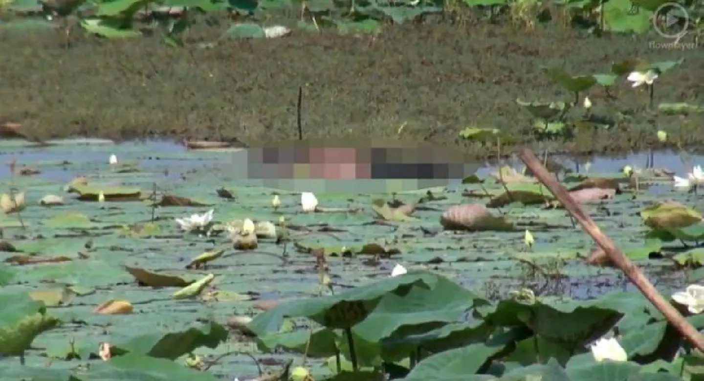 Phitsanulok man drowns in lily pond