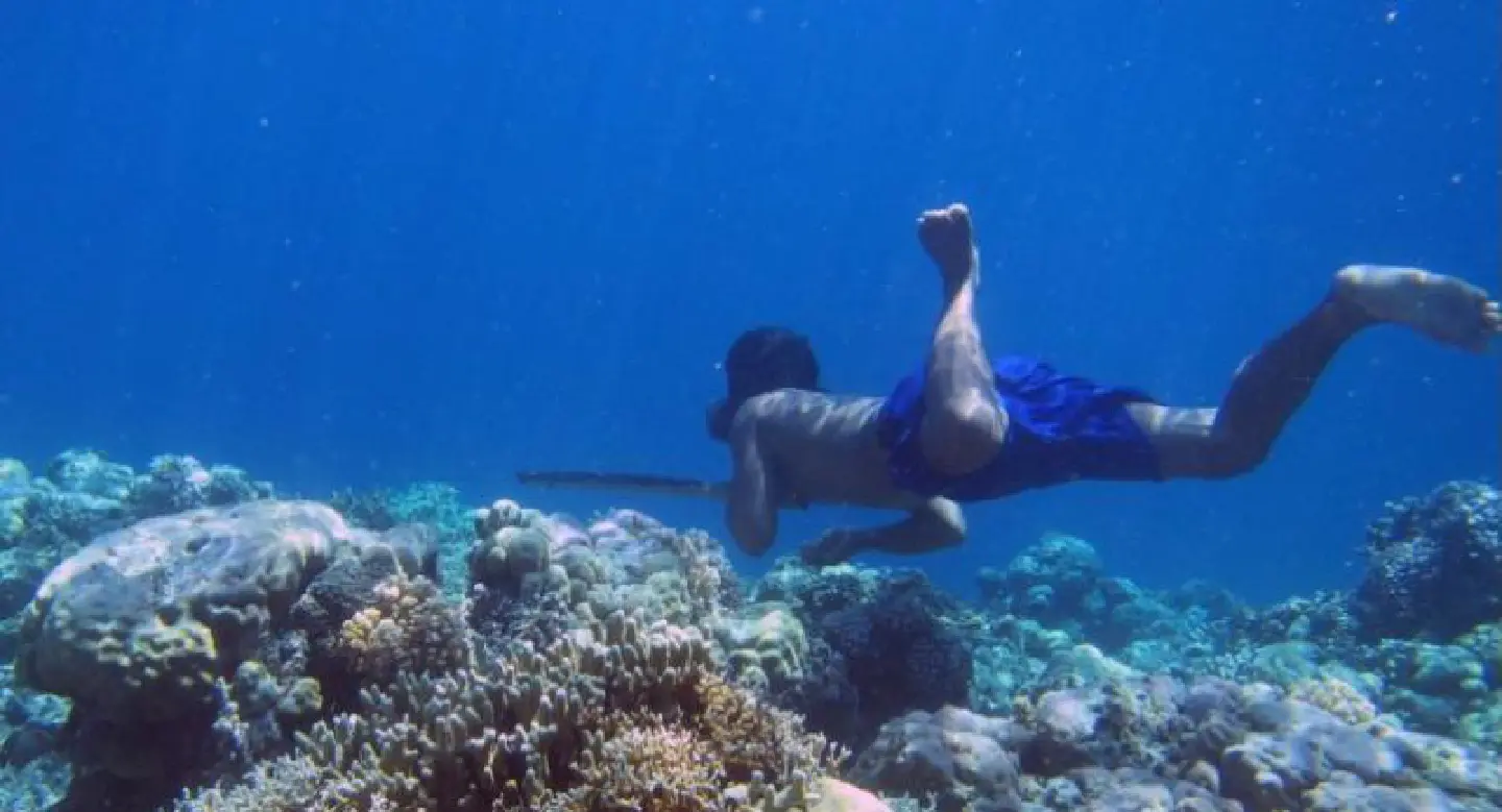 First genetic adaptation to diving discovered in 'Sea Nomads'