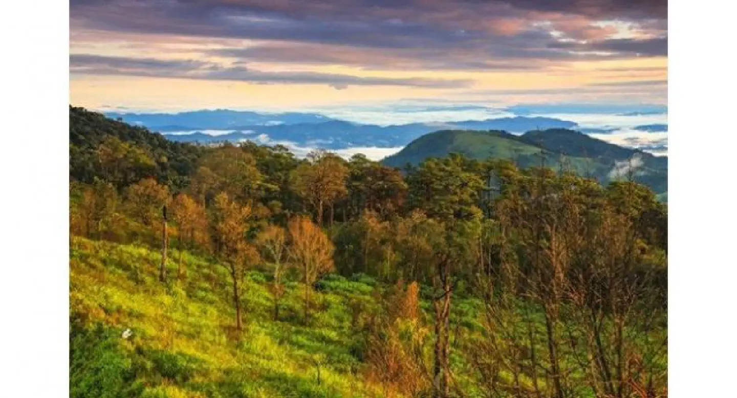Thailand’s national park system starts annual seasonal closure of attractions