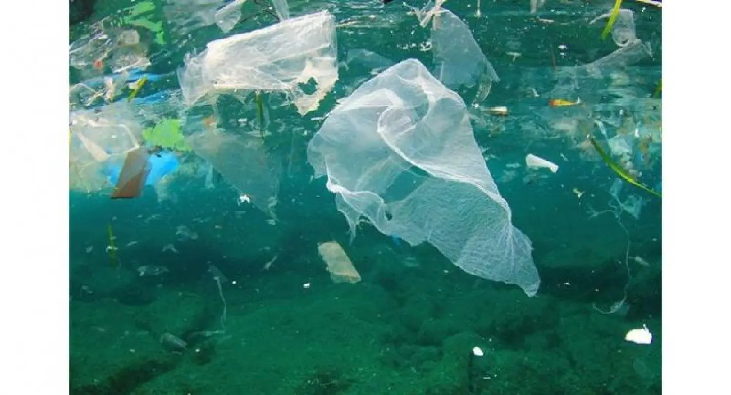 Earth Day focuses on oceans drowning in single-use plastics
