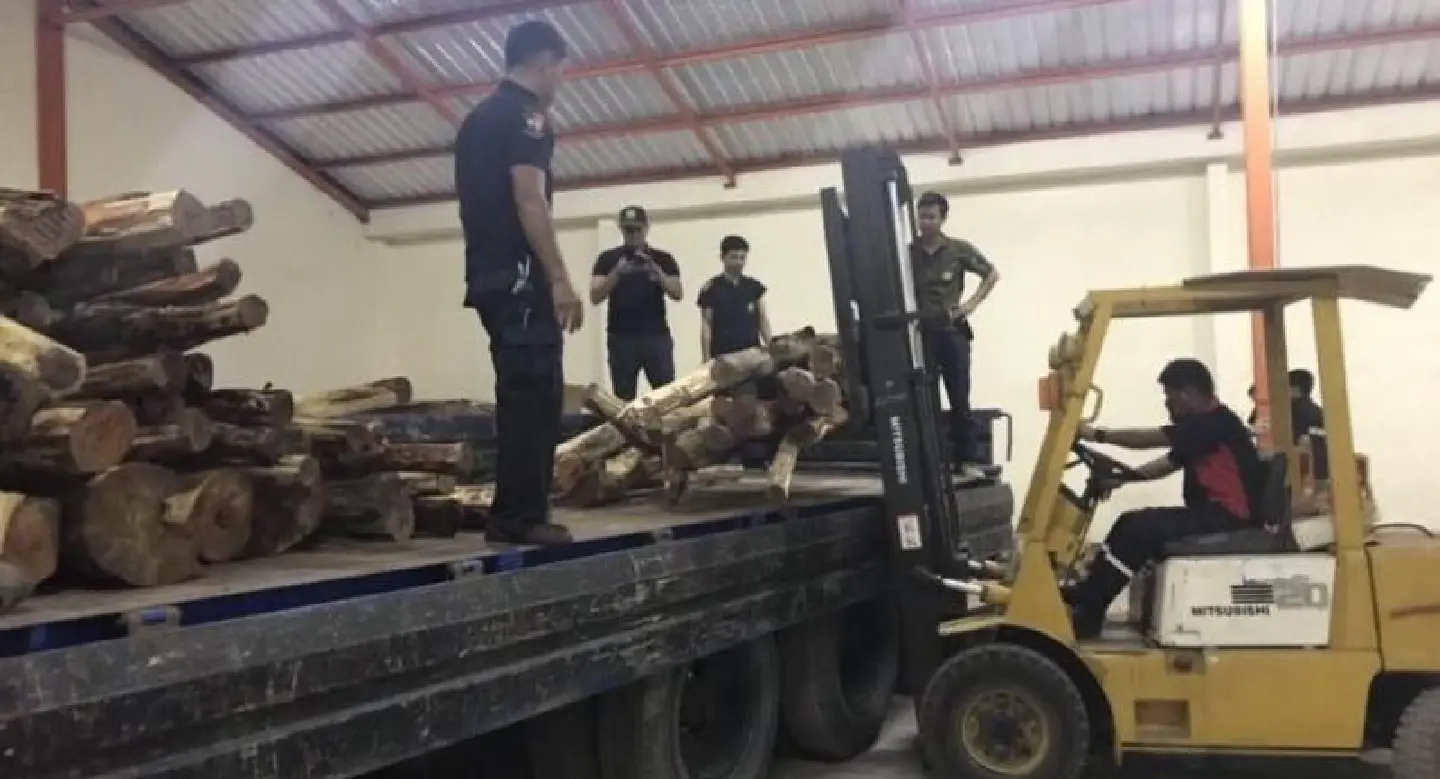Suspected Illegal loggers arrested after raid on warehouse Suspected Illegal loggers arrested after raid on warehouse