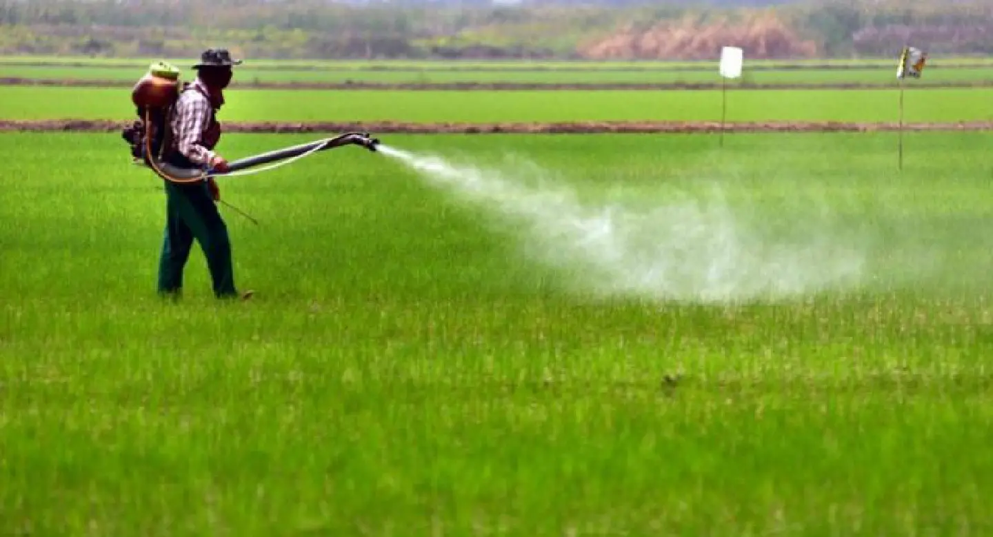 Experts seek ban on use of herbicide paraquat for agriculture