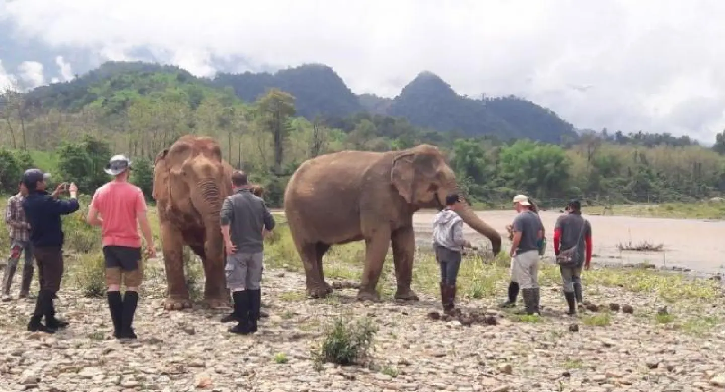 Luang Prabang – a pachyderm paradise 
