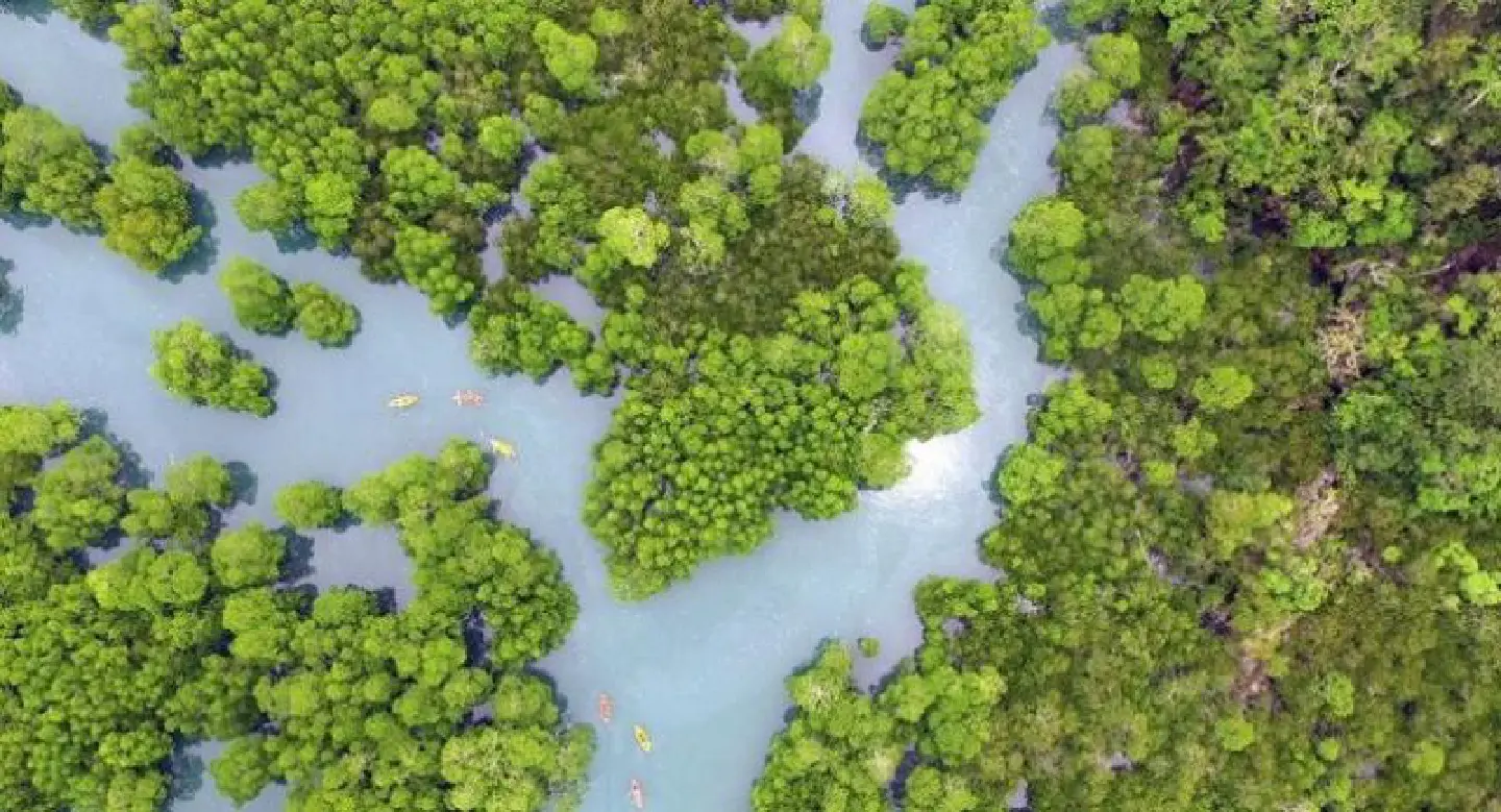Unesco grants certificate to Satun Global Geopark Unesco grants certificate to Satun Global Geopark
