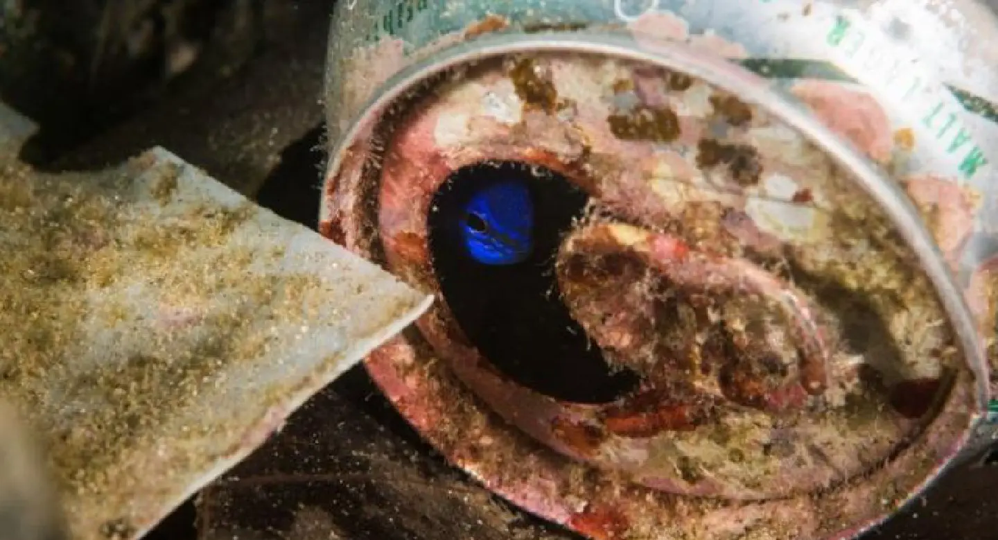 SPECIAL REPORT: Alarm raised as Thailand drowns in plastic trash