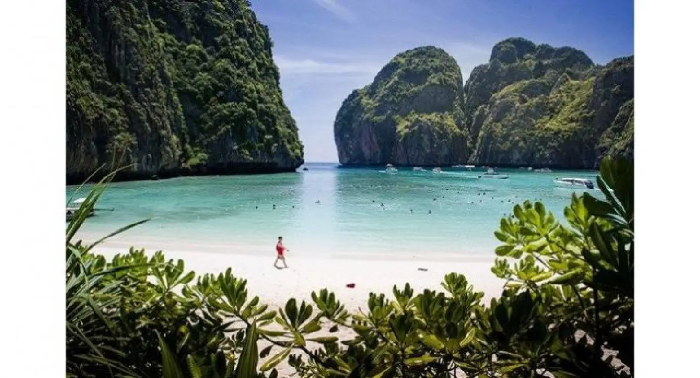 Phi Phi’s famed Maya Bay gets 4-month rejuvenation period Phi Phi’s famed Maya Bay gets 4-month rejuvenation period