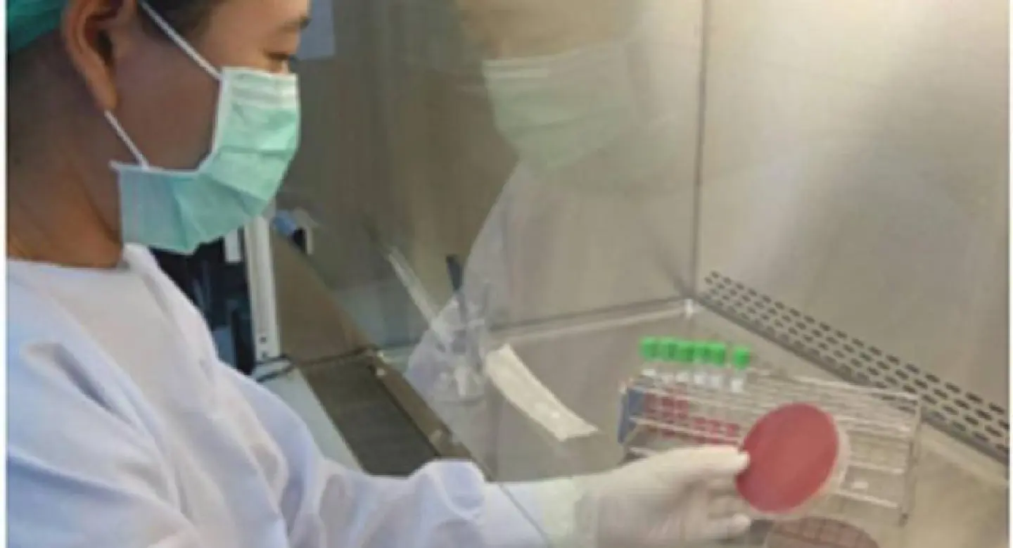 Medicine makes strides in battling meningococcal disease Medicine makes strides in battling meningococcal disease