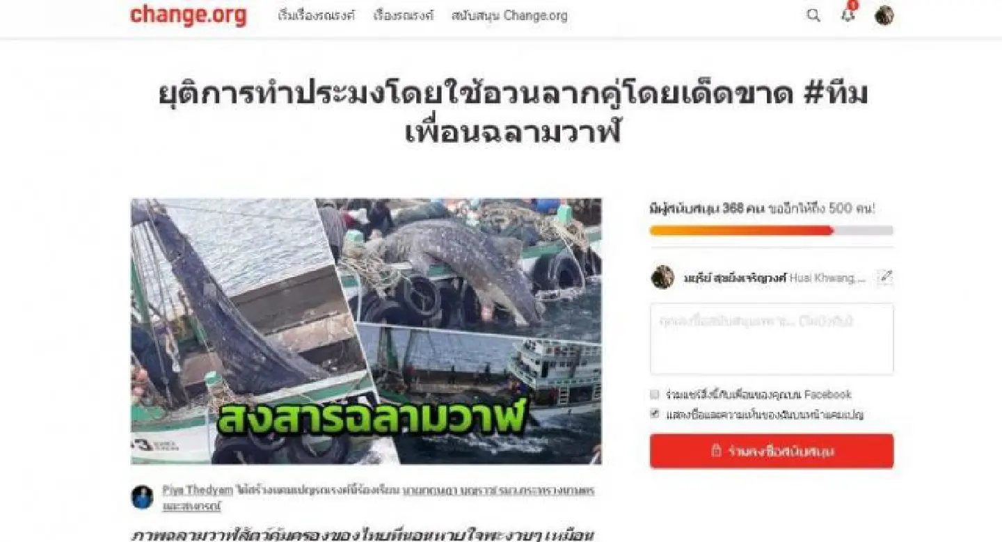 Ban sought on otter trawling after whale shark snared off Phuket