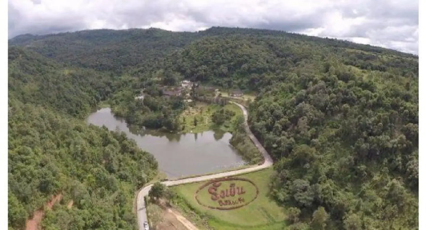DSI poised to take over Loei forest encroachment case DSI poised to take over Loei forest encroachment case