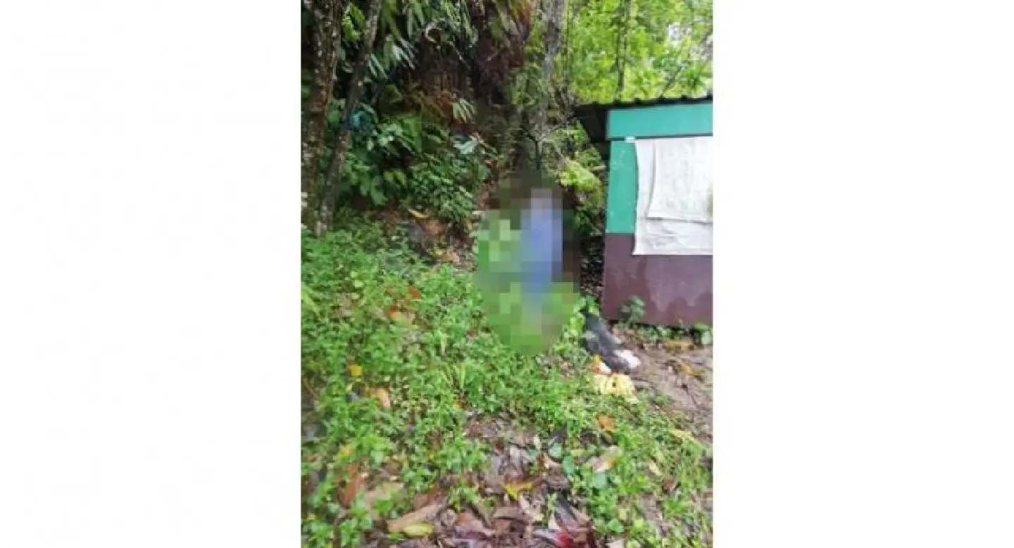 Swede, 24 found hanged, car parked nearby, in Phuket Swede, 24 found hanged, car parked nearby, in Phuket