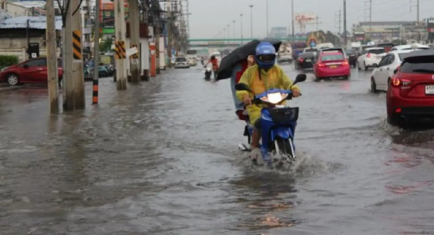 Umbrellas ready? Rainy season has arrived Umbrellas ready? Rainy season has arrived